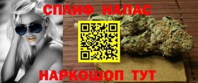 спиды Кингисепп