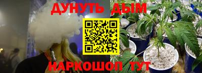 спиды Кингисепп