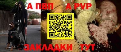 спиды Кингисепп