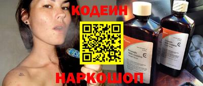 спиды Кингисепп