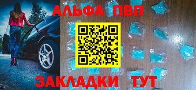 спиды Кингисепп
