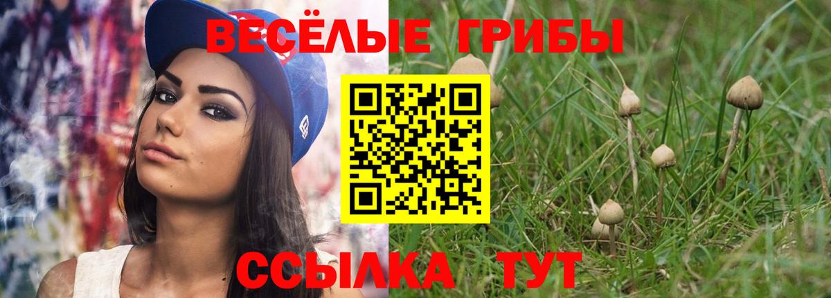 Коммунар  Псилоцибиновые грибы Cubensis  Вход с VPN 