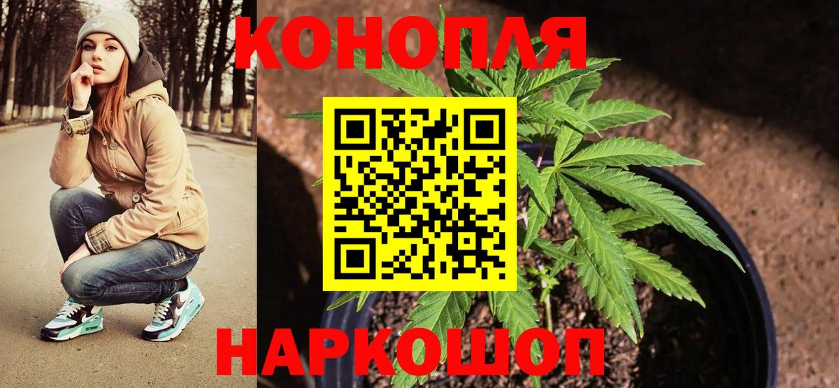 Конопля марихуана Коммунар